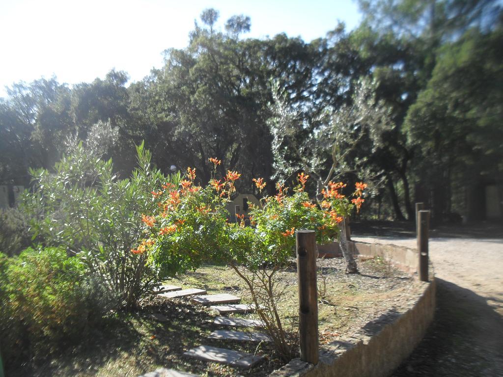 Villa Quinta Do Outeiro Alto à Constância Extérieur photo
