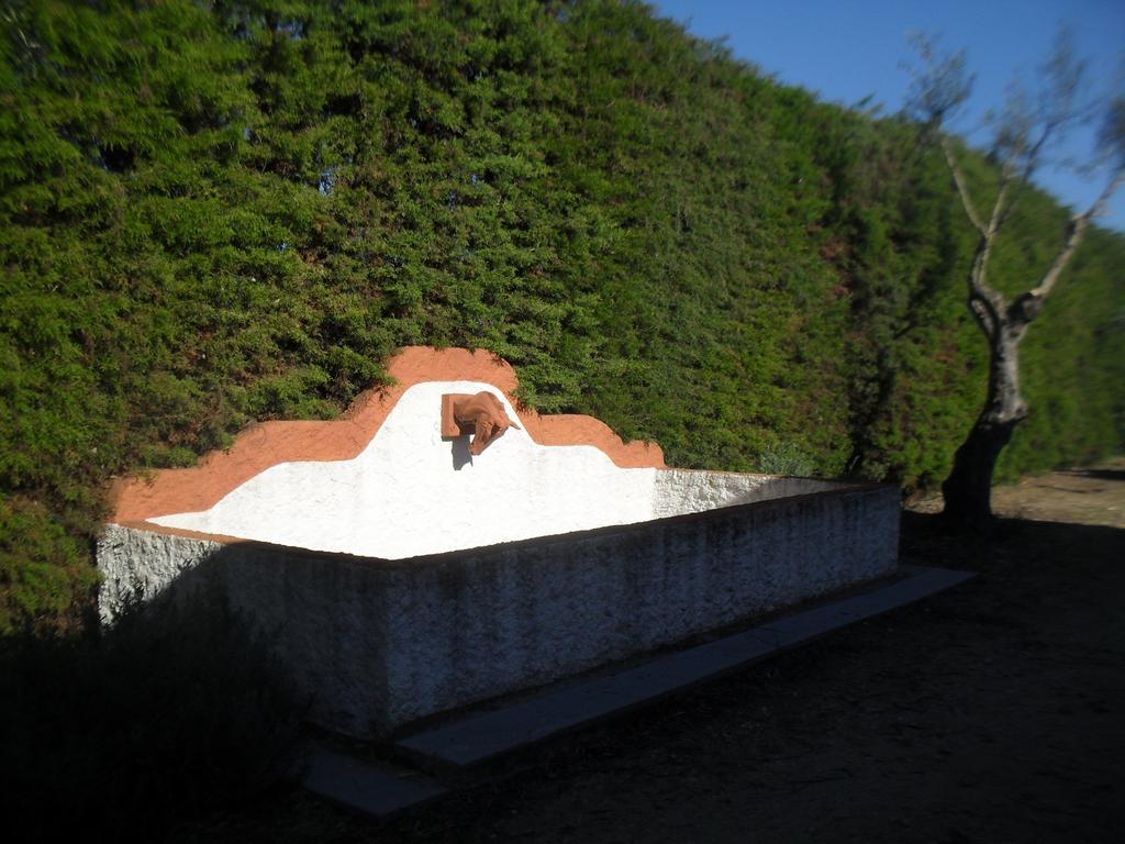 Villa Quinta Do Outeiro Alto à Constância Extérieur photo