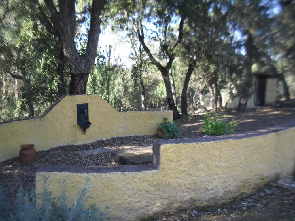 Villa Quinta Do Outeiro Alto à Constância Extérieur photo