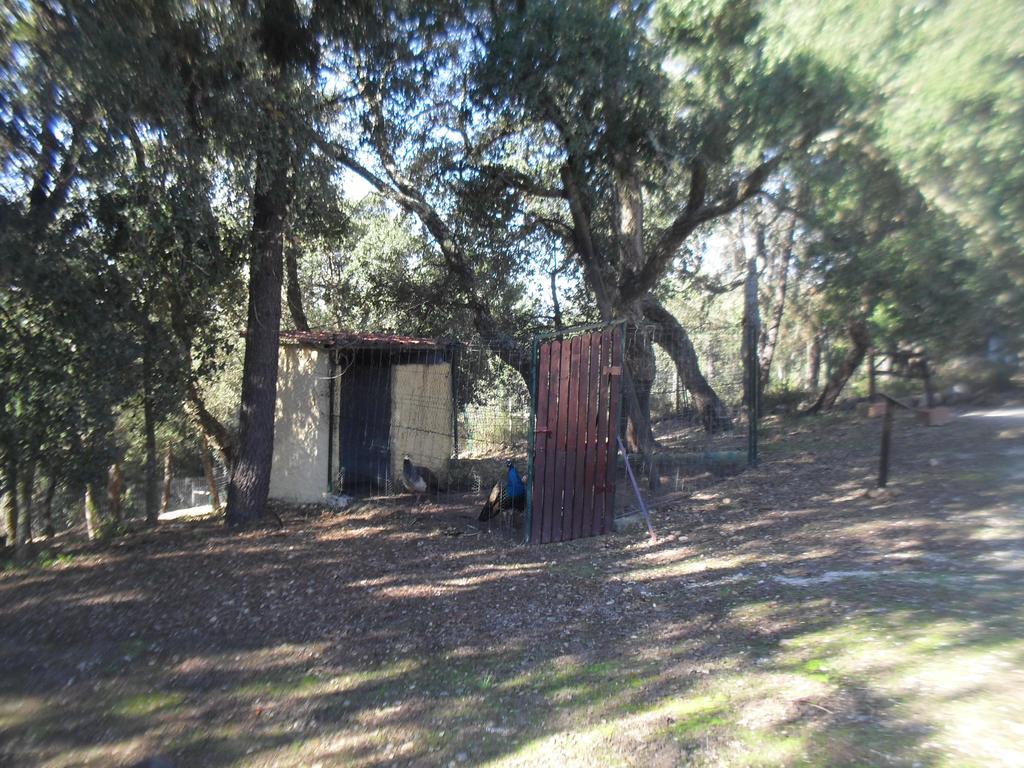 Villa Quinta Do Outeiro Alto à Constância Extérieur photo