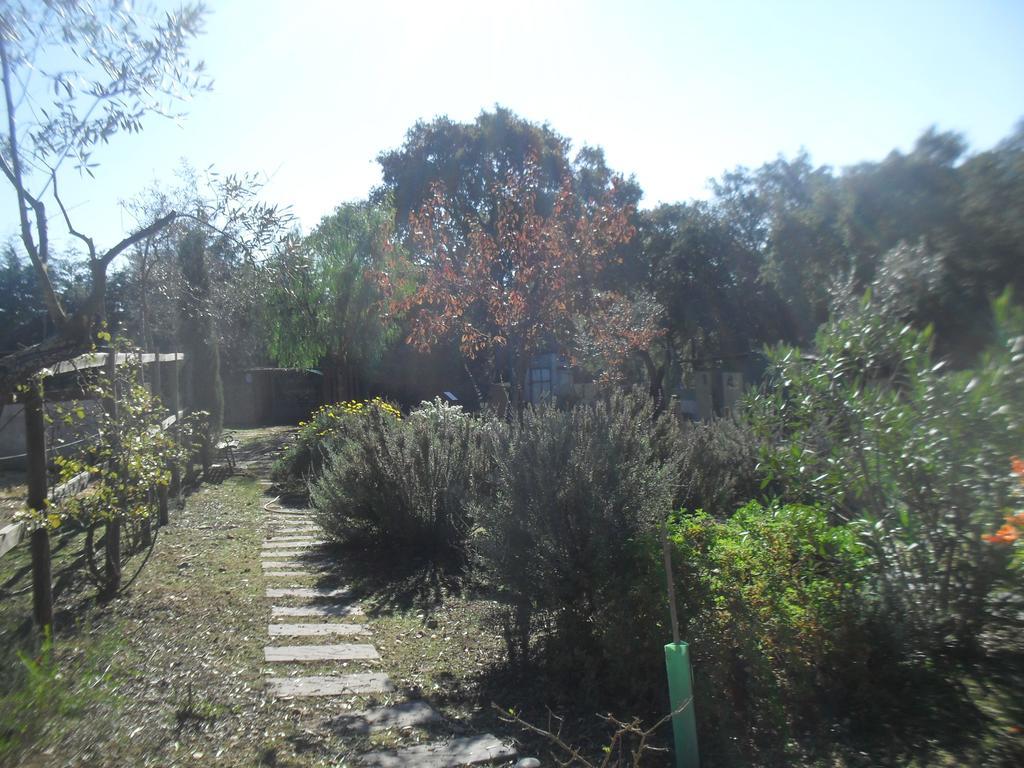 Villa Quinta Do Outeiro Alto à Constância Extérieur photo