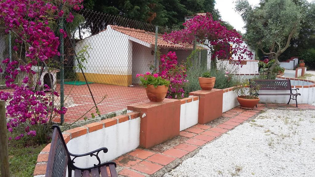 Villa Quinta Do Outeiro Alto à Constância Extérieur photo